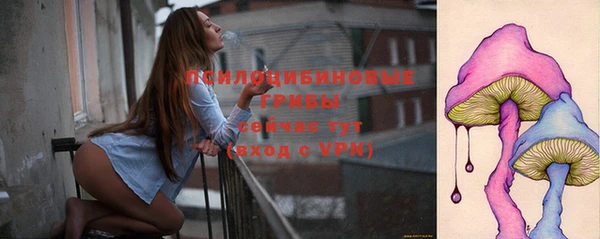шишки Армянск