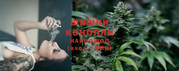 шишки Армянск