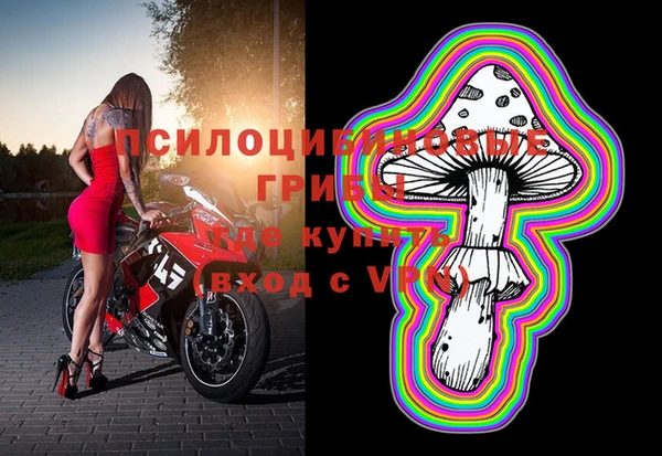 шишки Армянск